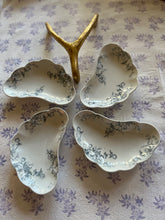 Load image into Gallery viewer, Bone plates from England