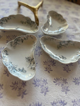 Load image into Gallery viewer, Bone plates from England