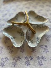 Load image into Gallery viewer, Bone plates from England