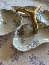 Load image into Gallery viewer, Bone plates from England